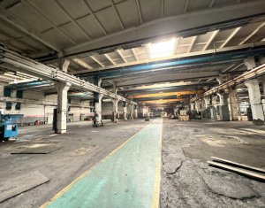 Espace Industriel à louer dans Cluj-napoca, zone Iris