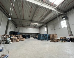 Industrial space for rent in Gilau