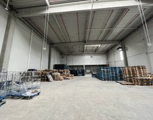 Industrial space for rent in Gilau