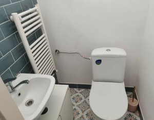 House 5 rooms for rent in Cluj-napoca, zone Centru