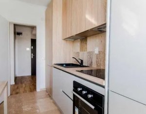 Apartment 2 rooms for rent in Cluj-napoca, zone Intre Lacuri