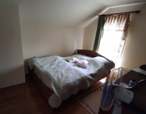 House 5 rooms for rent in Cluj-napoca, zone Europa