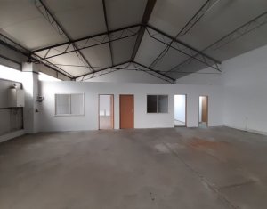 Industrial space for rent in Cluj-napoca, zone Someseni