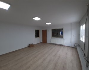 Industrial space for rent in Cluj-napoca, zone Someseni