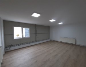 Industrial space for rent in Cluj-napoca, zone Someseni