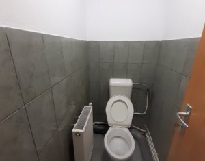 Industrial space for rent in Cluj-napoca, zone Someseni