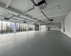 Industrial space for rent in Cluj-napoca, zone Someseni