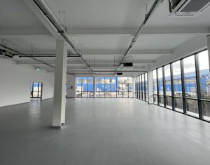 Industrial space for rent in Cluj-napoca, zone Someseni