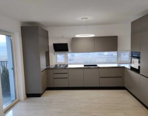 Maison 4 chambres à louer dans Cluj-napoca, zone Borhanci