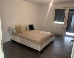 Maison 8 chambres à louer dans Cluj-napoca, zone Someseni