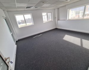 Office for rent in Cluj-napoca, zone Manastur