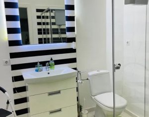 Apartment 1 rooms for rent in Cluj-napoca, zone Centru