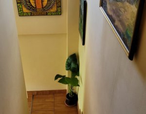 Apartment 1 rooms for rent in Cluj-napoca, zone Centru