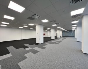 Birouri finisate 510mp open space, Office Building 