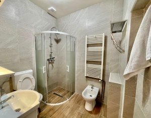 House 3 rooms for rent in Floresti