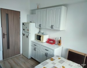 Inchiriere apartament 1 camera, Gruia, etaj 1, finisat, parcare