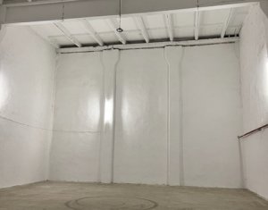 Industrial space for rent in Cluj-napoca