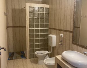 House 5 rooms for rent in Floresti