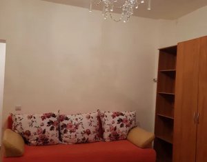 Apartment 1 rooms for rent in Cluj-napoca, zone Someseni