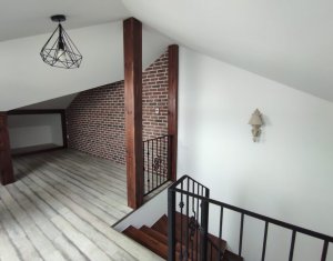 House 5 rooms for rent in Cluj-napoca, zone Andrei Muresanu