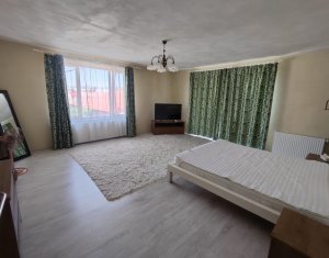 House 2 rooms for rent in Cluj-napoca, zone Centru