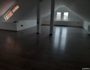 Maison 4 chambres à louer dans Cluj-napoca, zone Someseni