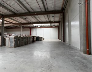 Depozit 1500mp, H-12m, parc industrial Nervia - Apahida CJ