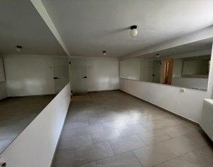 Espace Commercial à louer dans Cluj-napoca, zone Centru