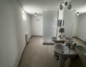 Espace Commercial à louer dans Cluj-napoca, zone Centru