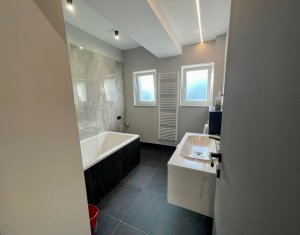 Apartament ideal activitati diverse, firma IT, birou, zona centrala