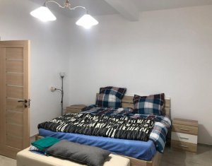 Apartament 2 camere, 65 mp, renovat, demisol, Centru