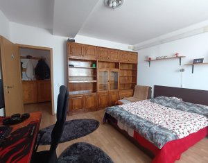 Appartement 1 chambres à louer dans Cluj-napoca, zone Iris