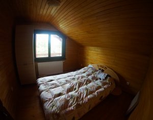 House 5 rooms for rent in Cluj-napoca, zone Grigorescu