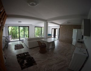 Casa de inchiriat, 255 mp utili, 600mp teren, Grigorescu, zona Tetarom