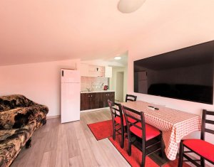 Apartament cu 5 camere + mansarda + garaj, la intrare in Borhanci