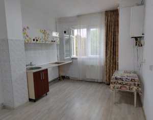 Apartment 1 rooms for rent in Cluj-napoca, zone Gruia