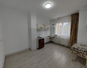 Apartment 1 rooms for rent in Cluj-napoca, zone Gruia
