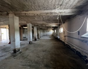 Spatiu depozitare sau productie 200mp, curte 450mp, Str Oasului 
