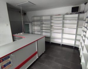 Appartement 1 chambres à louer dans Cluj-napoca, zone Manastur