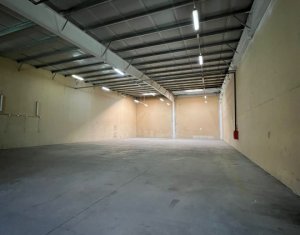 Industrial space for rent in Floresti