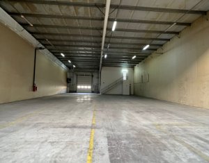 Industrial space for rent in Floresti