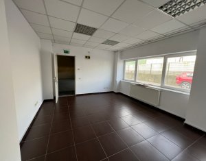 Industrial space for rent in Floresti