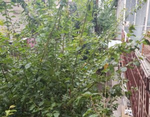 Apartment 2 rooms for rent in Cluj-napoca