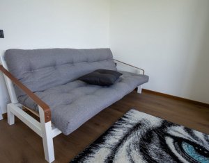 House 4 rooms for rent in Cluj-napoca, zone Borhanci