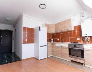 Appartement 1 chambres à louer dans Cluj-napoca, zone Dambul Rotund