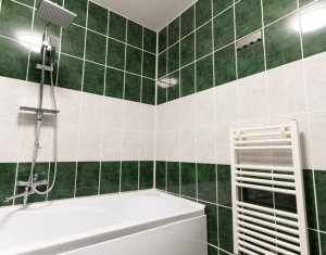 Appartement 1 chambres à louer dans Cluj-napoca, zone Dambul Rotund