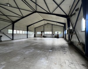 Espace Industriel à louer dans Floresti