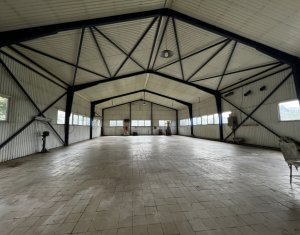 Espace Industriel à louer dans Floresti