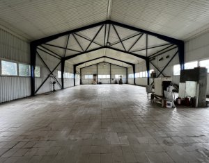 Espace Industriel à louer dans Floresti