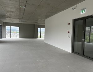 Office for rent in Cluj-napoca, zone Manastur